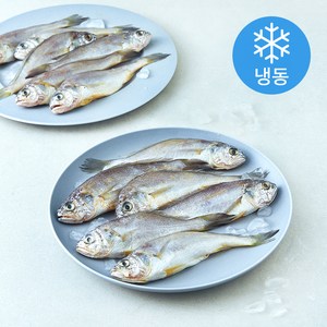 영광 법성포 굴비 20미 (냉동)