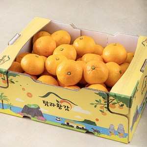 [로켓프레시] 탐라황감 당도선별 감귤 10brix