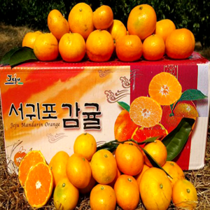 아령20KG 추천 상품