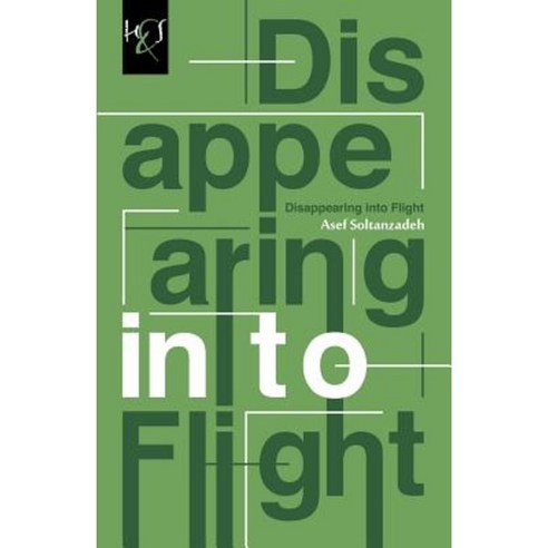 Disappearing Into Flight Paperback, H&s Media