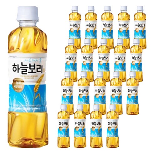 하늘보리