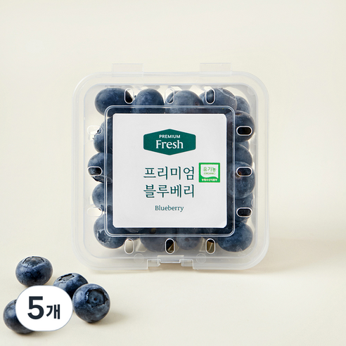 [로켓프레시] 프리미엄 유기농 블루베리 대과, 100g, 5개