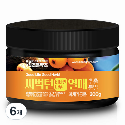 조은약초 비타민나무열매 가루, 200g, 6개