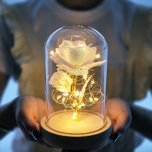 라알레그리아 LED 눈꽃 장미 유리돔, 화이트