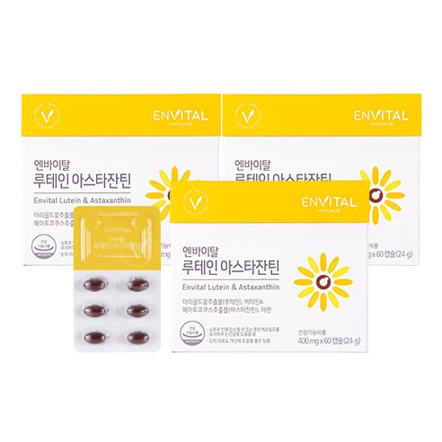 엔바이탈 루테인 아스타잔틴 24g