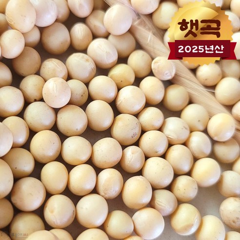 [백창섭] 파주장단콩 백태 1kg ~10kg 선택 2025년 11월 수확 100% 국내산