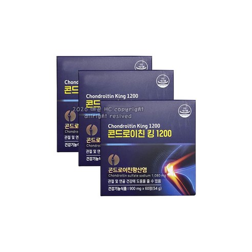 대원제약 콘드로이친 킹 1200
