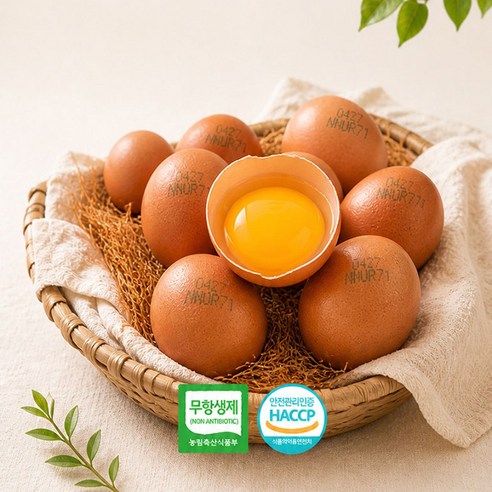 HACCP 자연방사 달걀 무항생제 난각번호1번 유정란, 단품