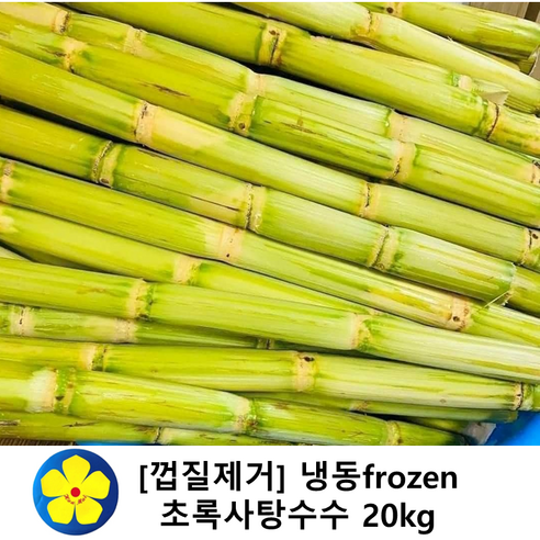 냉동 껍질제거 초록사탕수수 생 스틱( 베트남산)
