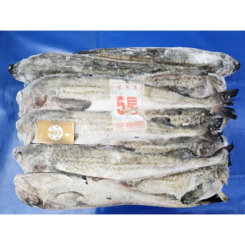 동태 5통 냉동 명태 9마리, 1개, 토막작업5cm
