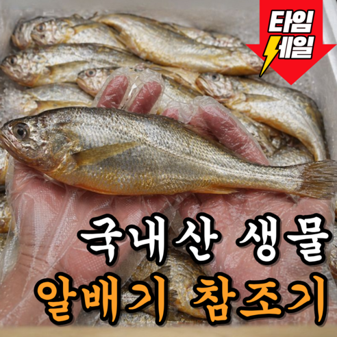 [산지직송] 프리미엄 국내산생물 알배기 참조기