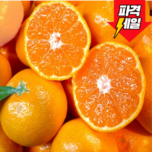 [최고급엄선] 꿀이뚝뚝 고당도 로얄과 카라향