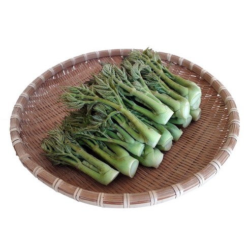 남해 땅두릅 튀김용 봄 제철 나물 자연산 산지직송, 2kg, 1개