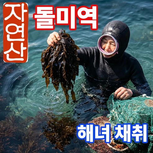 어부의뜰 햇 국산 자연산 돌미역 산모용 생 미역 물미역