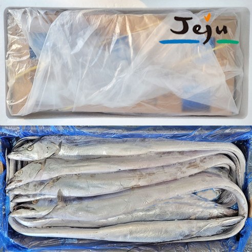 제주 선동갈치 파갈치 10kg 갈치네이션 냉동 갈치 업소용 은갈치 도매 제주갈치 13미 18미 25미 33미 45미 55미 풀치 제주한림수산