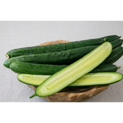 (당일경매) (당일발송) 아삭한 국내산 취청오이 (청오이), 1개, 5kg
