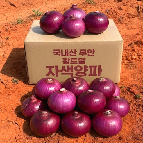 국내산 명품 무안 햇 자색양파