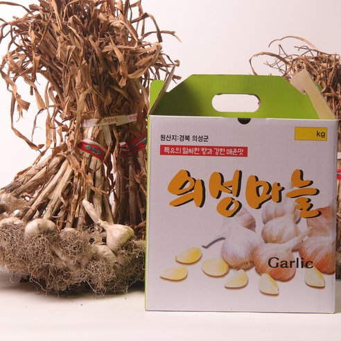의성마늘 토종 육쪽 통마늘, 햇마늘, 한지형, 1개, 중 한접(마늘 100개, 2kg 내외)