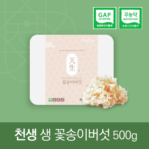 친환경 무농약 천생 생꽃송이버섯 500g