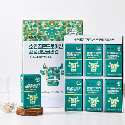 상아제약 프로테오글리칸 보스웰리아 소연골 콘드로이친 관절 건강 지원 영양제, 6개, 60정