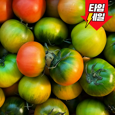[하루딱100박스] 단독특가 고당도선별 정품 대저토마토