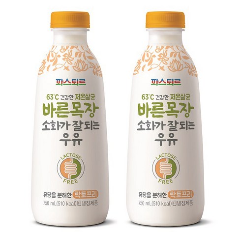 파스퇴르 소화가 잘 되는 우유 750ml 5개, 750ml, 5개