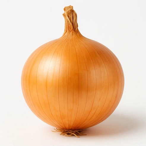 국내산 만생종 햇양파 산지직송 신선 양파 대용량, 1박스, 중 3kg