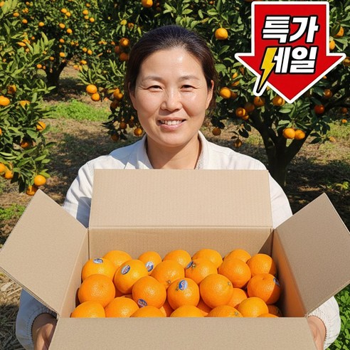 [상위1%수입직송] 프리미엄 미국산 만다린 감귤 할로스 큐티스 썬키스 피즐 팝피스 랜덤출고