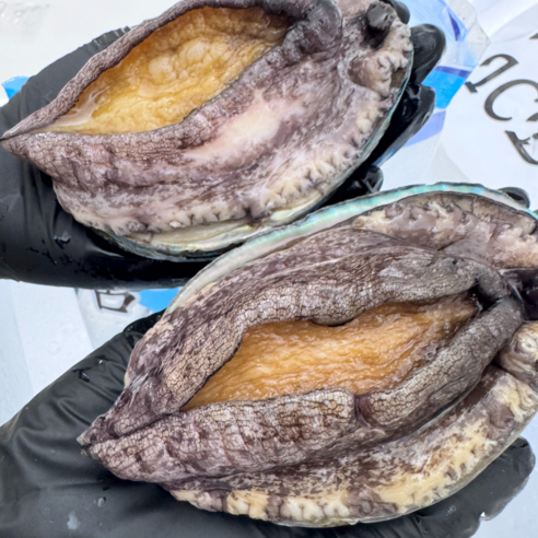 파도스토리 완도전복 2kg 왕특대 직거래 산지직송 선물세트 손질칼 증정, 2세트, 2kg(톡대 18-20미)