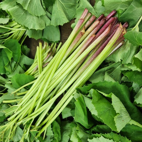 자연산 야생 머위 머위대, 1kg, 1개