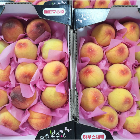 [2026년 첫 판매] 당일수확 산지직송 경북 하우스 제철 털복숭아, 1박스, 500g(로얄과)
