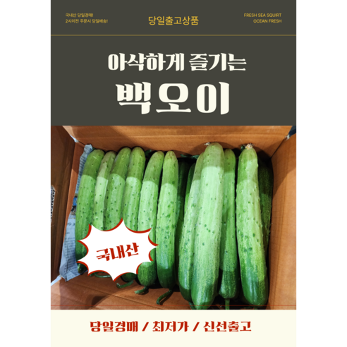 당일경매 국내산 백오이 신선한 오이 경매후바로발송 무침용 생식용 가정용