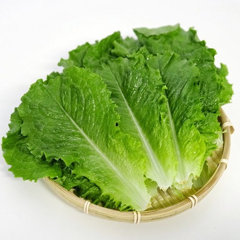 국내산 울팜 청상추 로메인 쌈채소, 1개, 2kg