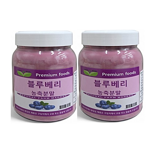 보아비다 블루베리농축분말, 2개, 500g