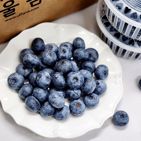 국내산 울팜 장흥 산청 블루베리 생과, 3개, 블루베리(대)_100g