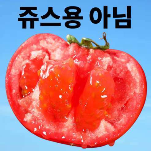 [단독초특가] 딱300박스한정 아삭달콤 국내산 완숙토마토