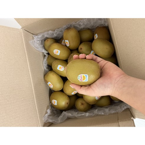 제스프리 슈퍼점보 초고당도 썬 골드키위 프리미엄 대과 1kg, 1개, 특대과 1.3kg (10입)