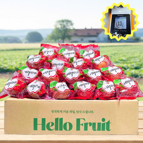[하루50박스특가] 초간편 세척사과 껍질째먹는 한입사과, 1개, 2kg(한입)