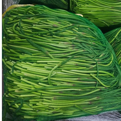 일등농수산 국내산 유명산지 마늘쫑, 1개, 1kg (가정용)