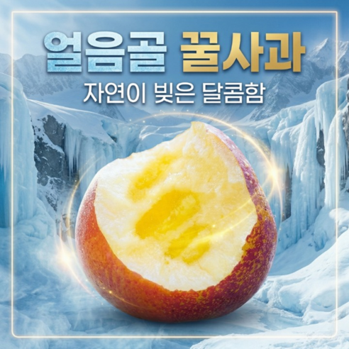 [농장특가] 고당도 아삭 청송 꿀 얼음골사과
