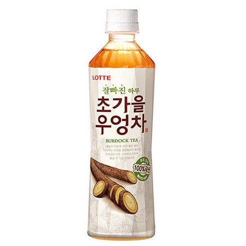 롯데칠성음료 잘빠진 하루 초가을 우엉차