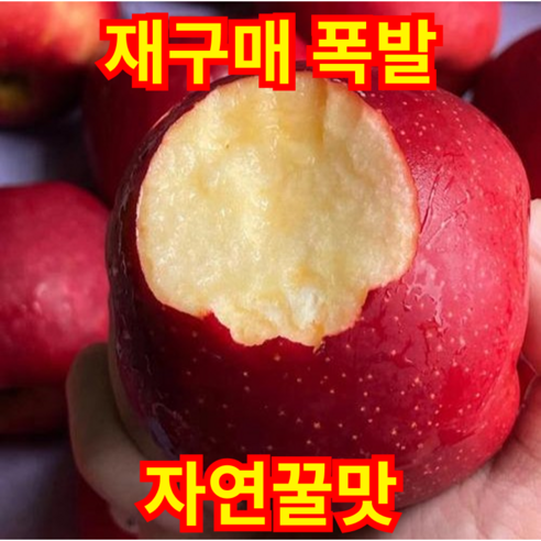 [5월특가]재구매폭발 자연꿀맛 아삭식감 신선농부 못난이사과, 1박스, 10kg