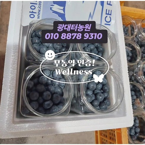 무농약인증 / 고냉지노지 / (국내산) 냉동블루베리 /