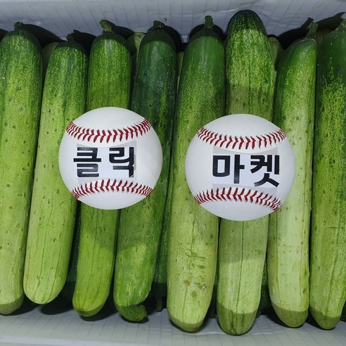 클릭마켓 백오이 백 다다기 오이 오이지 용