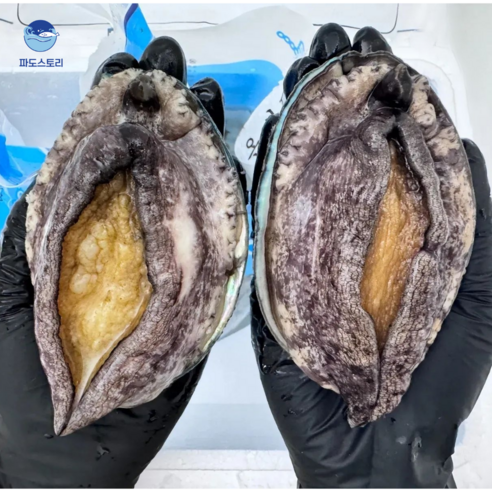 파도스토리 완도전복 2kg 왕특대 직거래 산지직송 선물세트 손질칼 증정