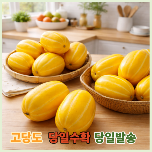 당일수확 성주 정품 꿀참외 고당도보장,, 산지직송, 1박스, 정품10kg(21~30과 내외)대과