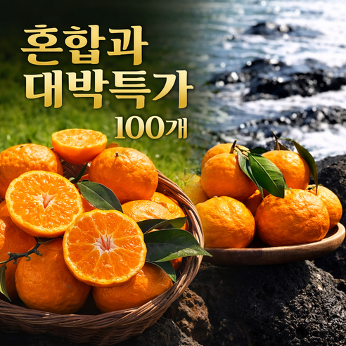 [선착순 특가] 오늘수확 제주 카라향  고당도 감귤