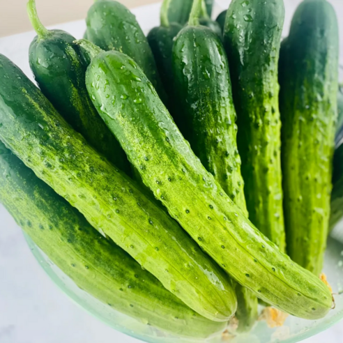 [산지직송] 아삭한 백오이 특품 국내산 백다다기 오이