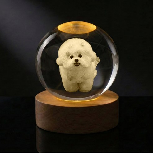 [맞춤 제작 상품] 강아지 고양이 3D각인 멍냥구슬 소담구슬, 웜 라이트 조명