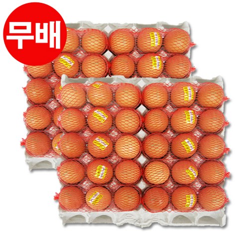 쿠팡! | 참조은 구운계란 (망) 30구 x 2판 참조은 구운계란 (망) 30구 x 2판